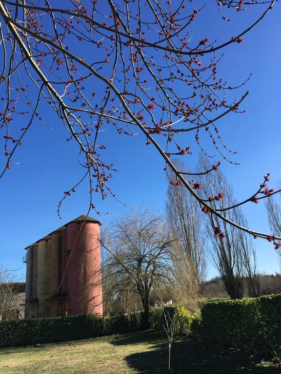 Agriturismo Cascina Nuova Villa Valenza Exterior foto