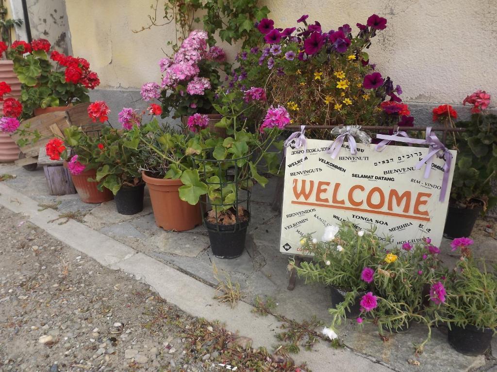 Agriturismo Cascina Nuova Villa Valenza Exterior foto