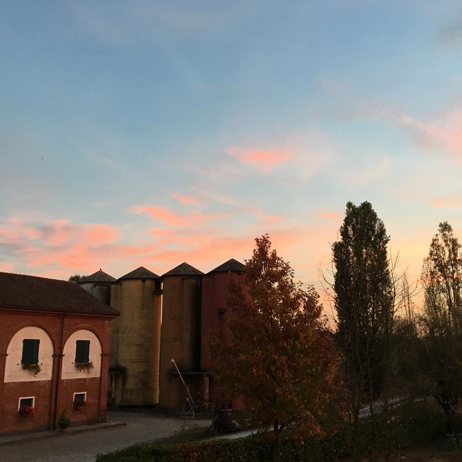 Agriturismo Cascina Nuova Villa Valenza Exterior foto