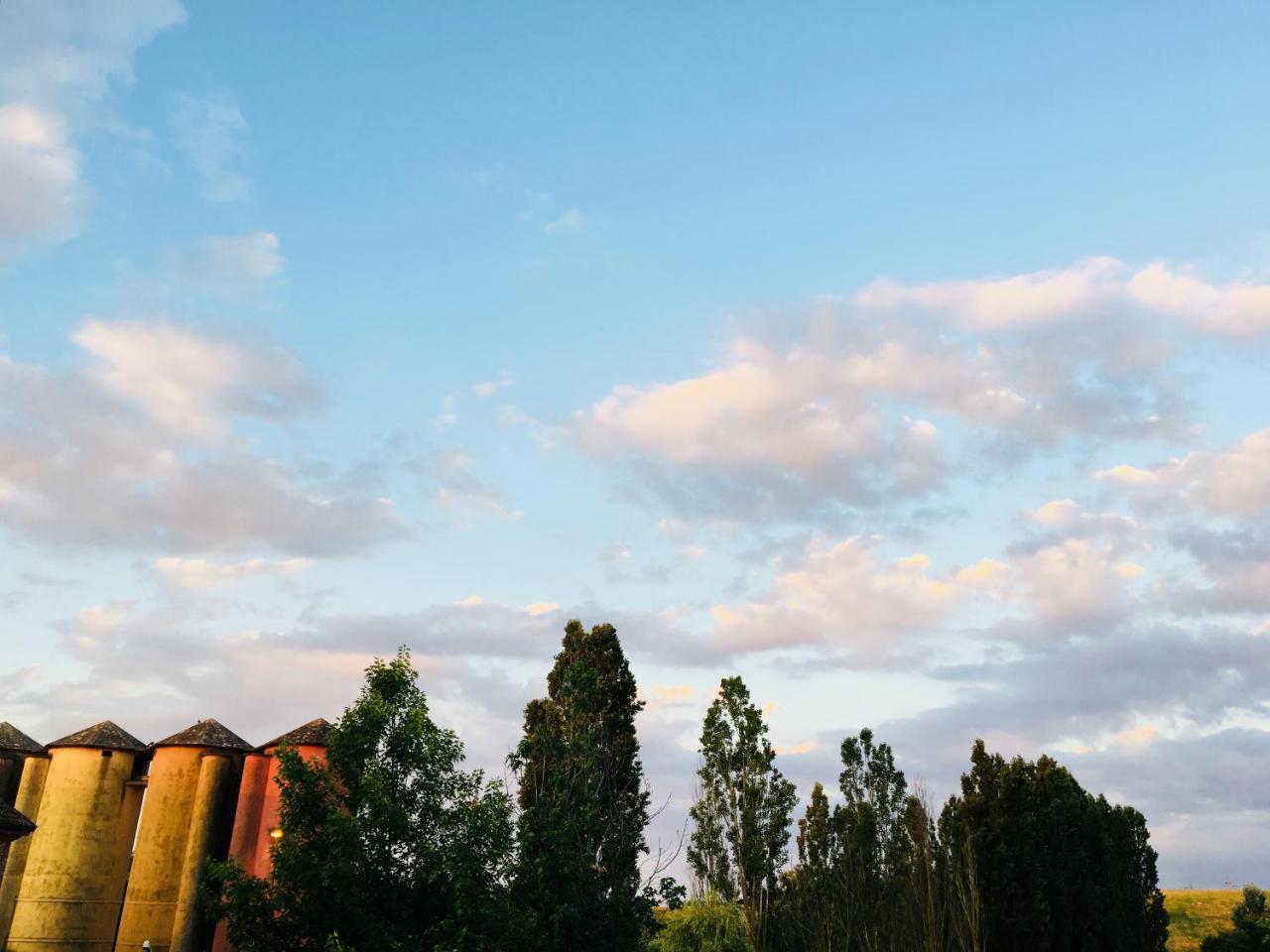 Agriturismo Cascina Nuova Villa Valenza Exterior foto